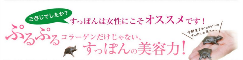 �����ۂ�R���[�Q�����T�C�g